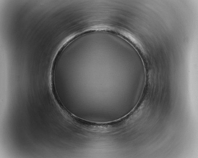 X0000096971229200802221355