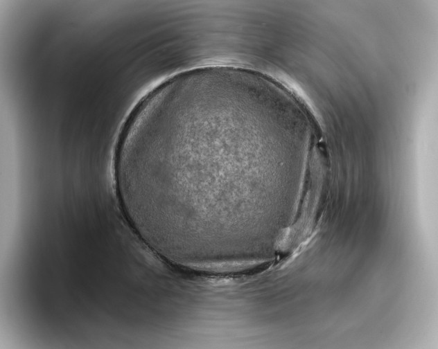 X0000096971230200802221356