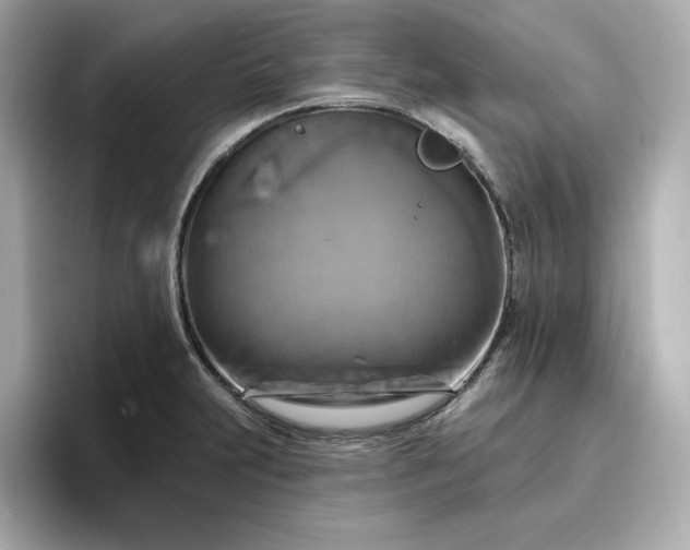 X0000096971231200802221356