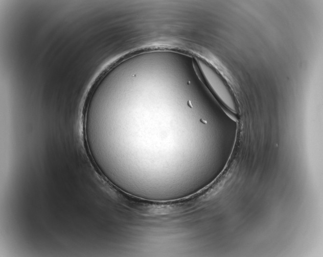 X0000096971232200802221356