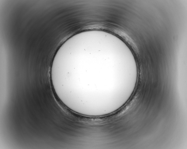 X0000096971233200802221356