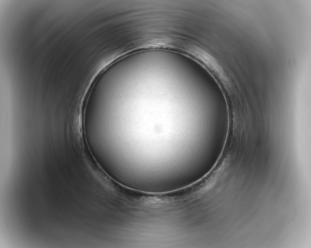 X0000096971234200802221356