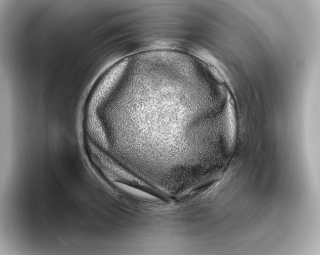 X0000096971235200802221356