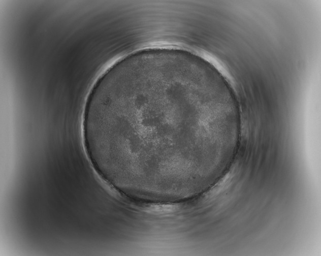 X0000096971237200802221356