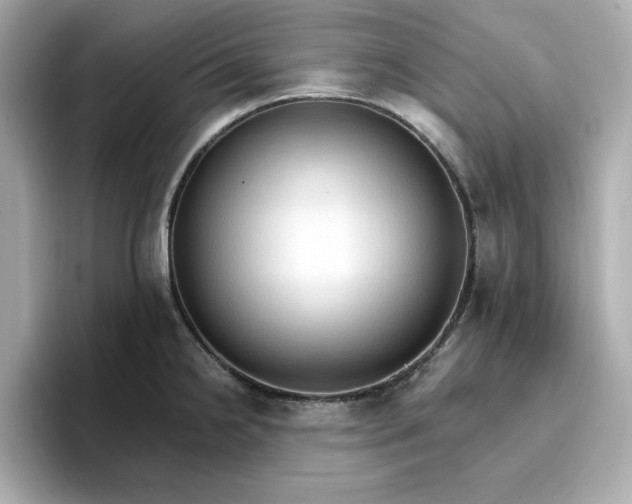 X0000096971238200802221356