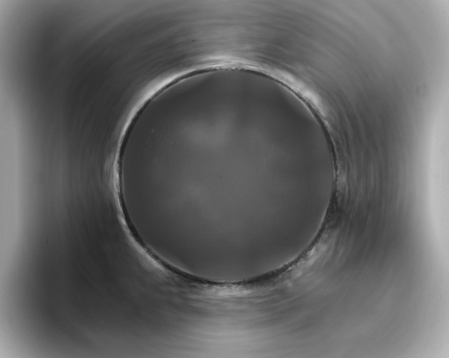 X0000096971239200802221356