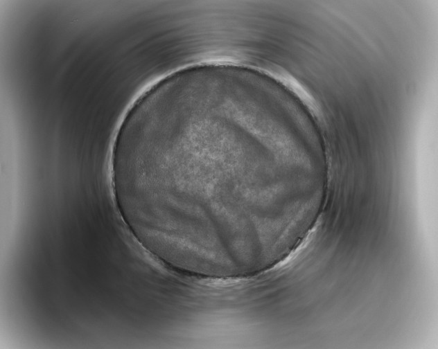 X0000096971240200802221356