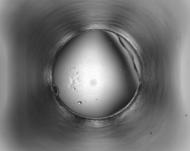 X0000096971241200802221356