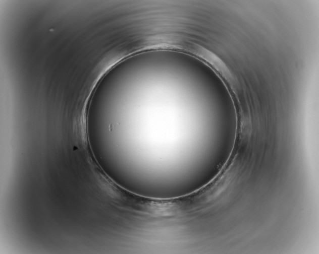 X0000096971242200802221356