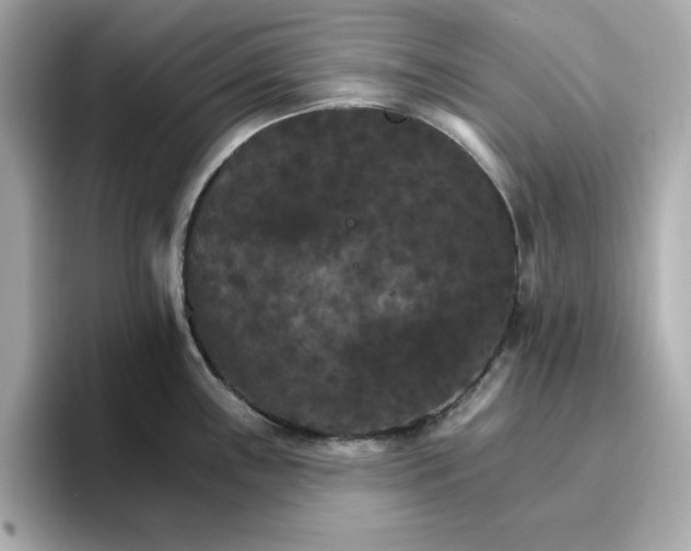 X0000096971243200802221356