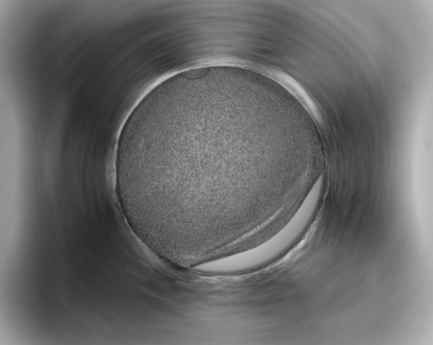 X0000096971244200802221356