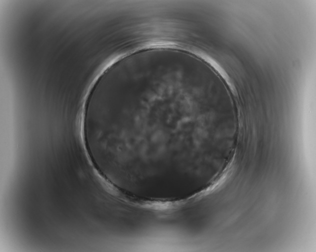 X0000096971245200802221356