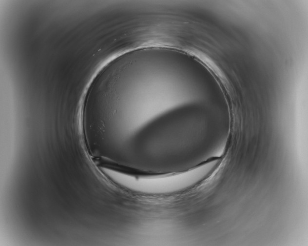 X0000096971246200802221356