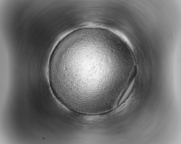 X0000096971247200802221356