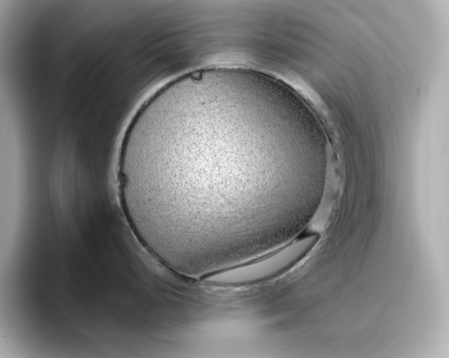 X0000096971248200802221356