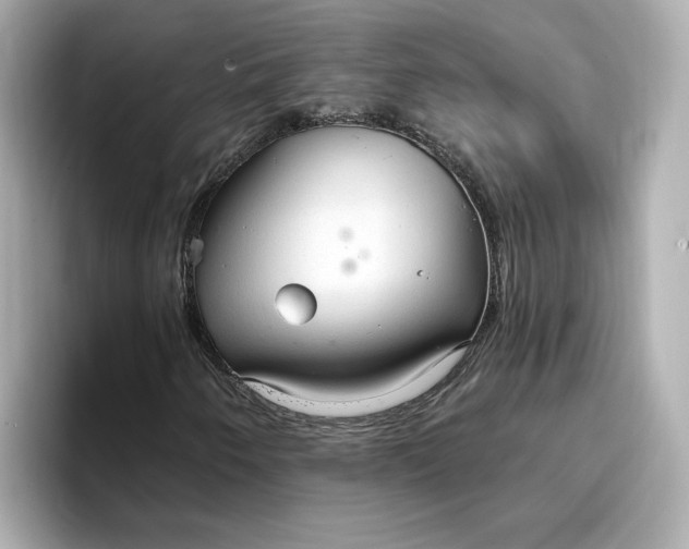 X0000096971250200802221355