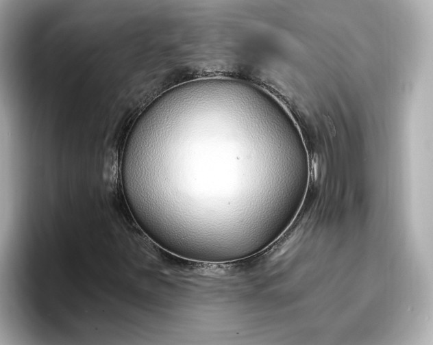 X0000096971251200802221355