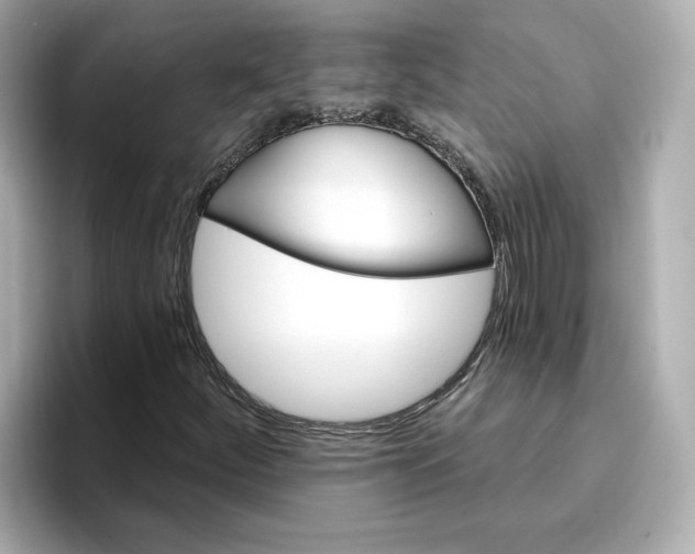 X0000096971252200802221355