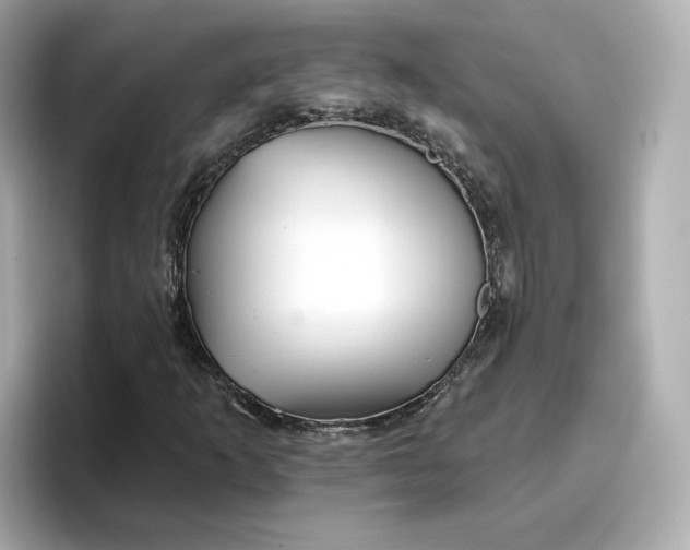 X0000096971253200802221355