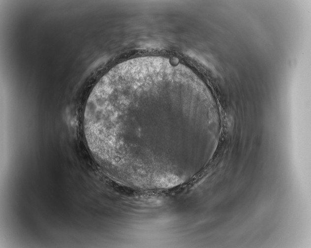 X0000096971254200802221355