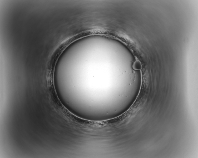 X0000096971255200802221355