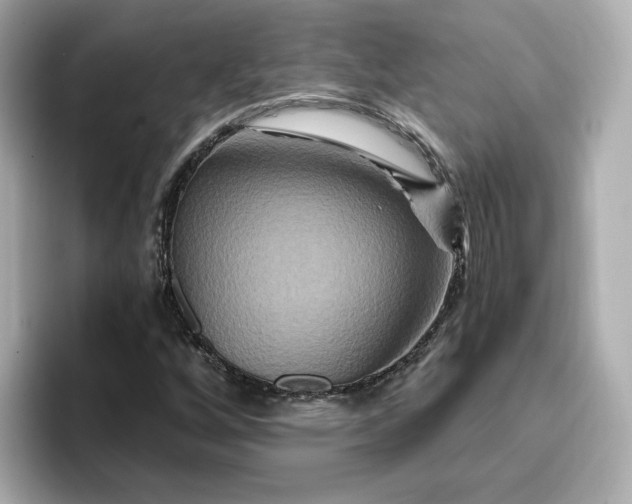 X0000096971256200802221355