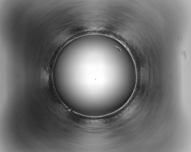 X0000096971257200802221355