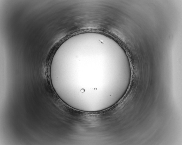 X0000096971258200802221355