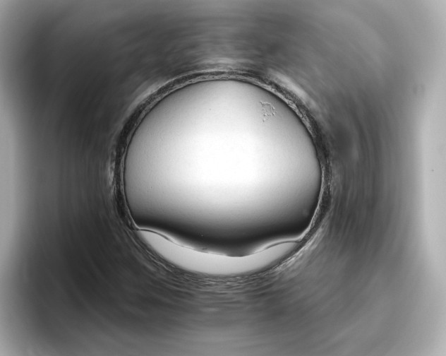 X0000096971259200802221355