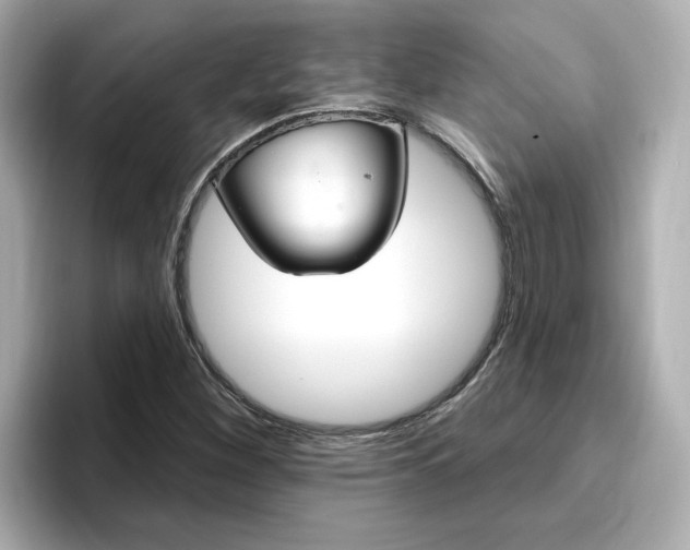 X0000096971260200802221355