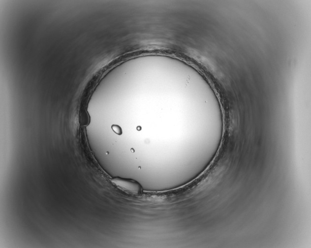 X0000096971261200802221355