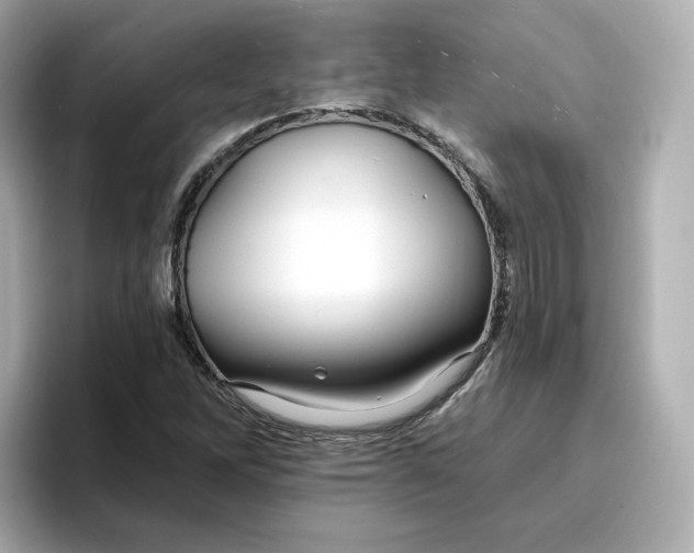 X0000096971262200802221355