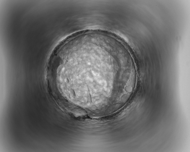 X0000096971263200802221355