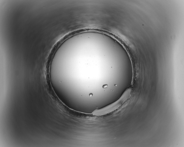 X0000096971264200802221355