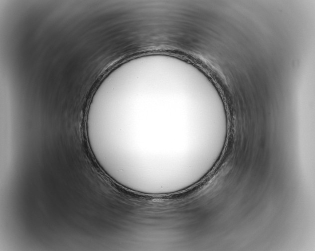 X0000096971265200802221355