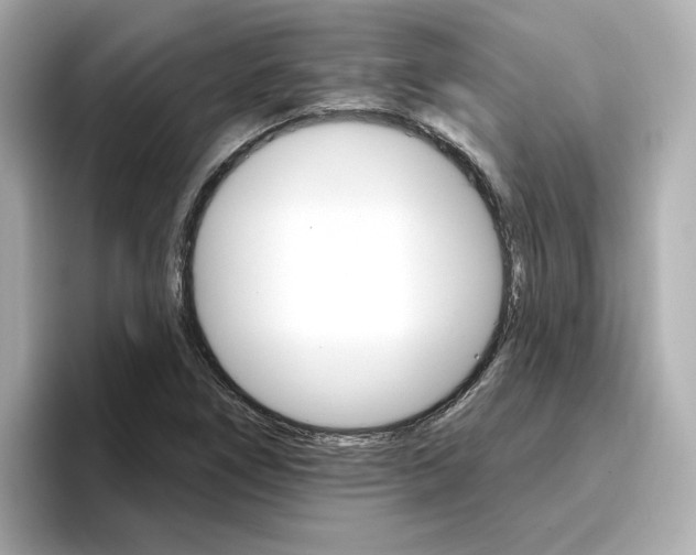 X0000096971266200802221355