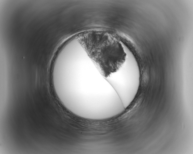 X0000096971267200802221355