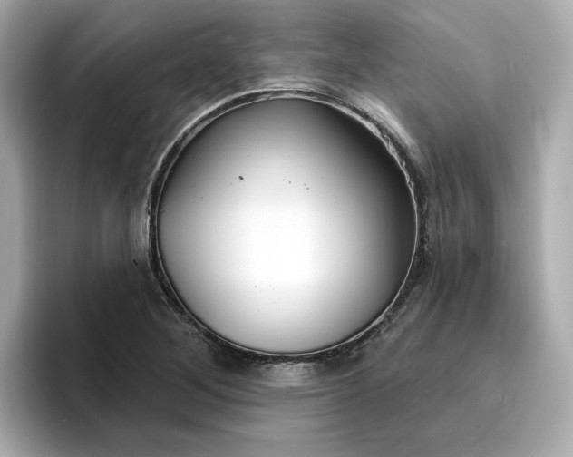 X0000096971268200802221355