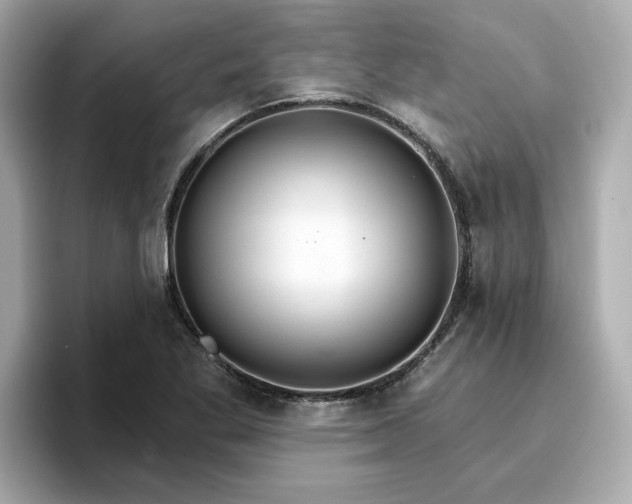 X0000096971269200802221355