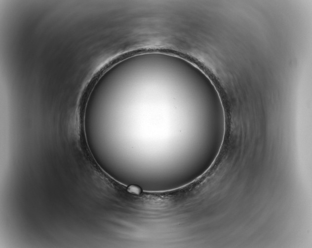 X0000096971270200802221355