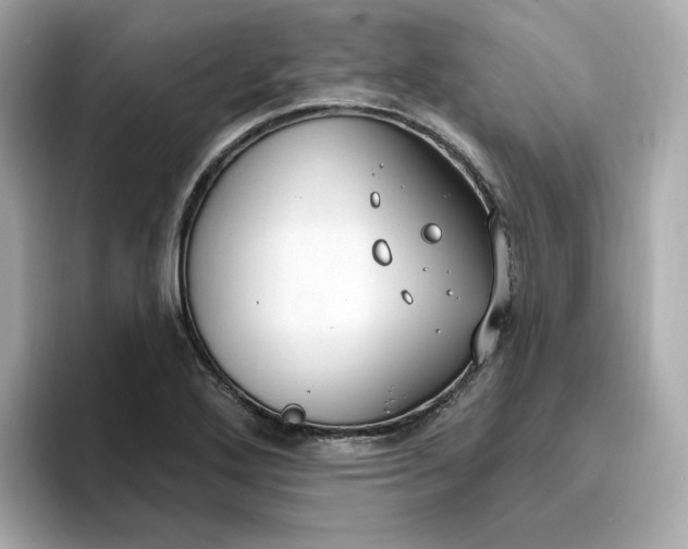 X0000096971272200802221355