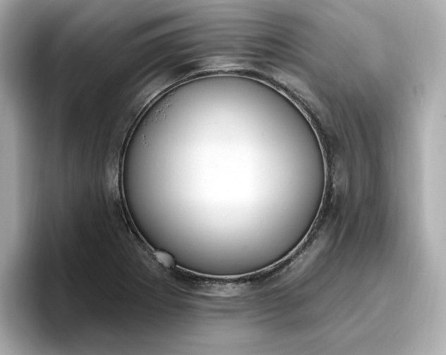 X0000096971273200802221355