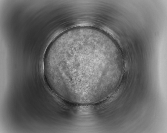 X0000096971274200802221355