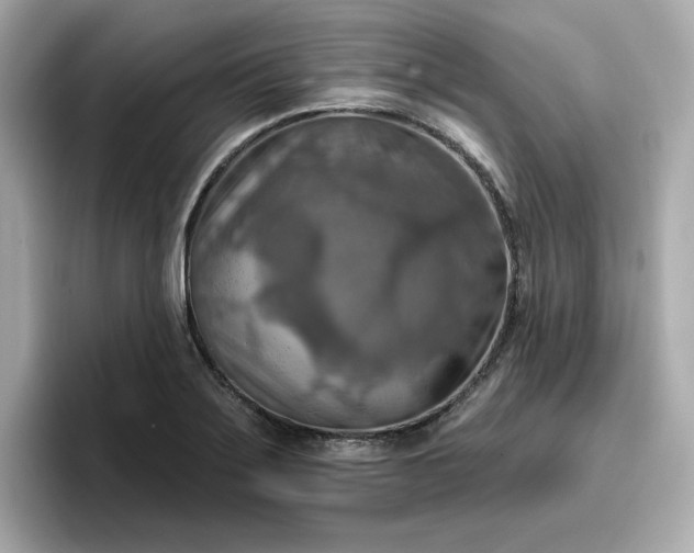 X0000096971275200802221355