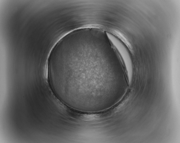 X0000096971276200802221355