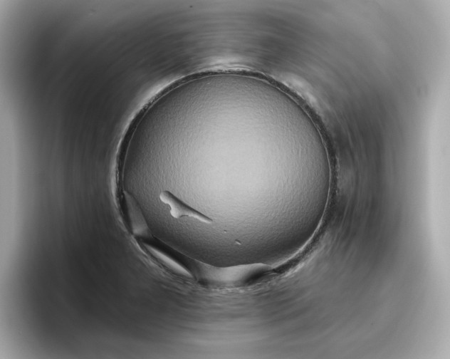 X0000096971277200802221355