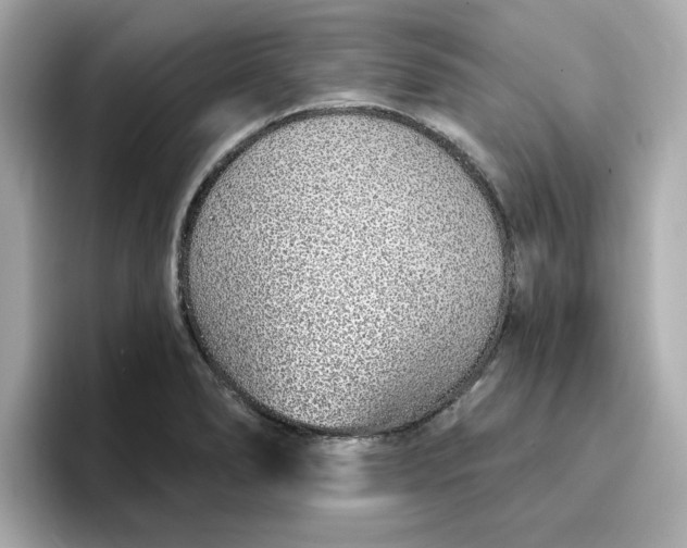 X0000096971278200802221355