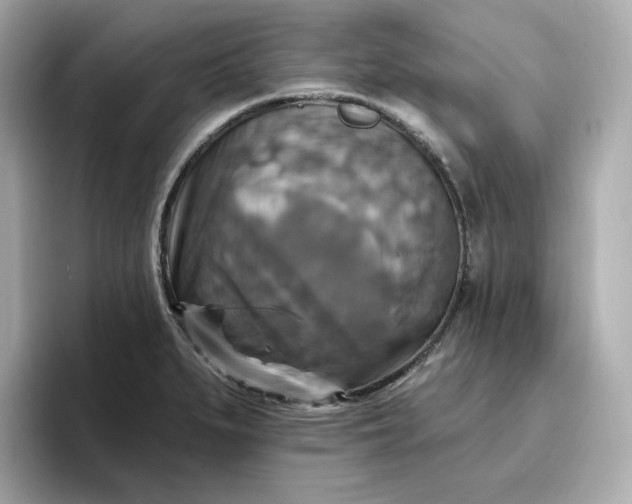 X0000096971279200802221355