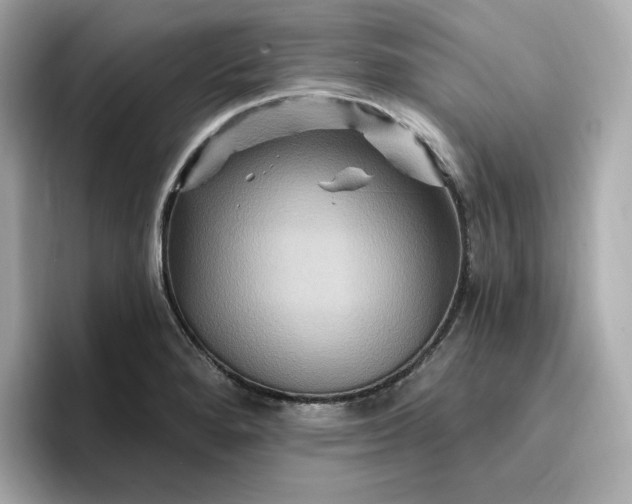 X0000096971280200802221355