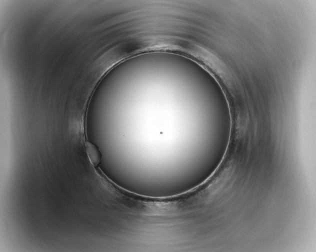 X0000096971281200802221355